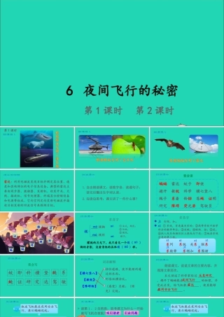 四年级语文上册 第二单元 6 夜间飞行的秘密课件