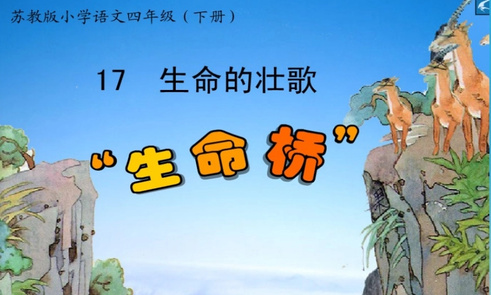 四年级语文下册 17《生命的壮歌》生命桥课件 苏教版-苏教版小学四年级下册语文课件