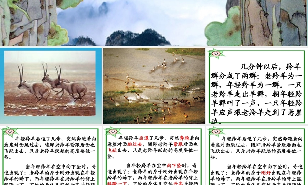 四年级语文下册 17《生命的壮歌》生命桥课件 苏教版-苏教版小学四年级下册语文课件