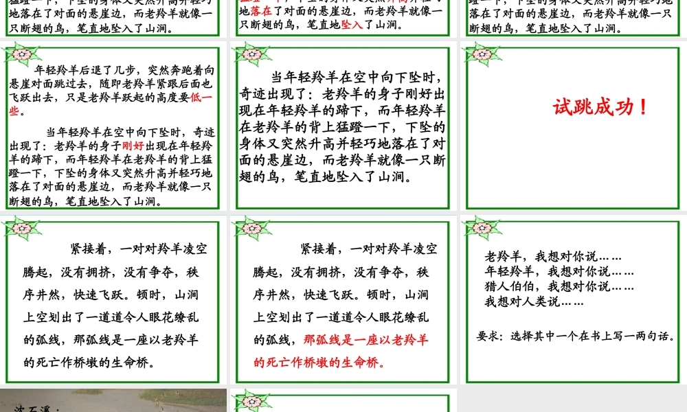 四年级语文下册 17《生命的壮歌》生命桥课件 苏教版-苏教版小学四年级下册语文课件