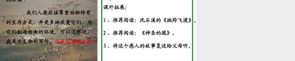 四年级语文下册 17《生命的壮歌》生命桥课件 苏教版-苏教版小学四年级下册语文课件