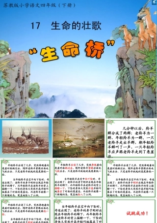 四年级语文下册 17《生命的壮歌》生命桥课件 苏教版-苏教版小学四年级下册语文课件
