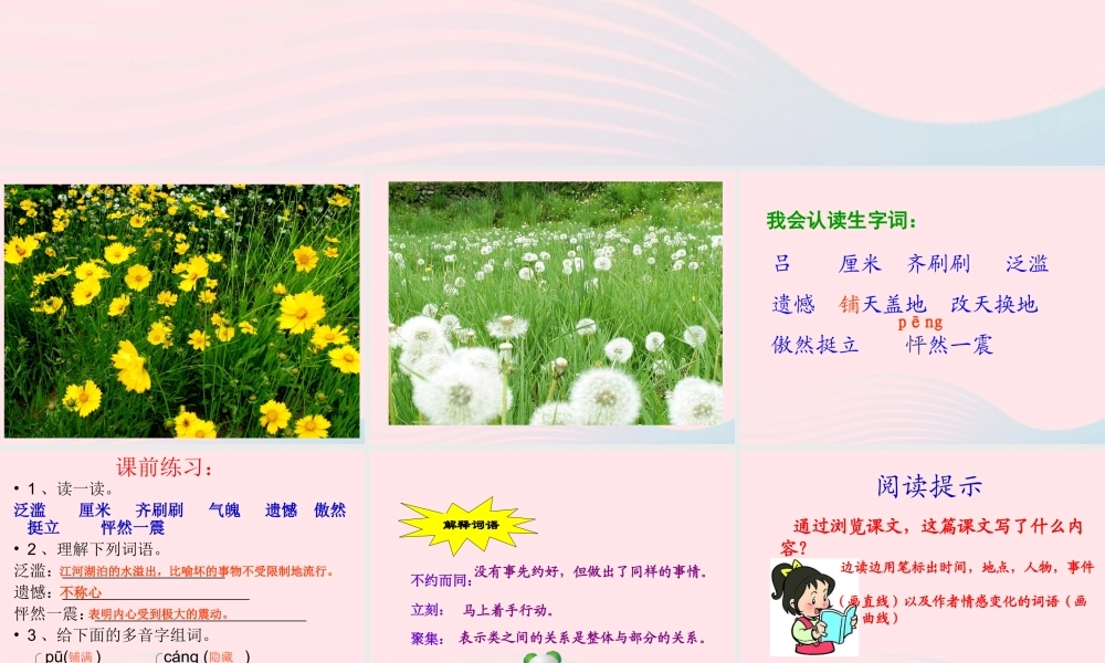 四年级语文下册 第五单元 20 花的勇气课件 新人教版-新人教版小学四年级下册语文课件