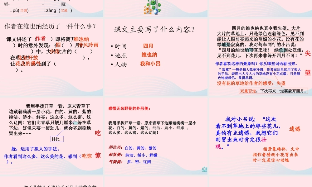 四年级语文下册 第五单元 20 花的勇气课件 新人教版-新人教版小学四年级下册语文课件
