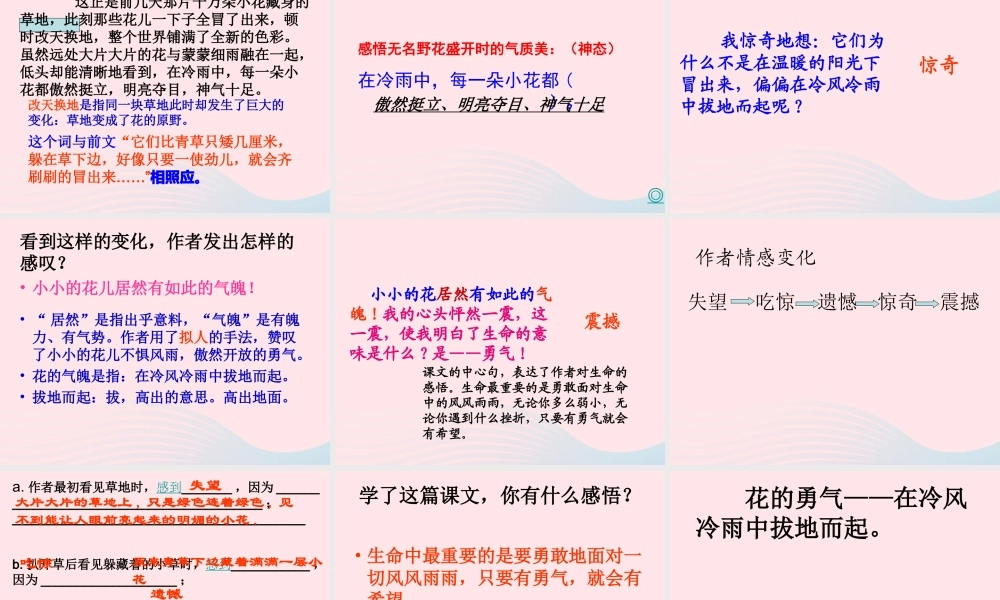 四年级语文下册 第五单元 20 花的勇气课件 新人教版-新人教版小学四年级下册语文课件