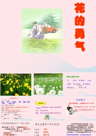 四年级语文下册 第五单元 20 花的勇气课件 新人教版-新人教版小学四年级下册语文课件