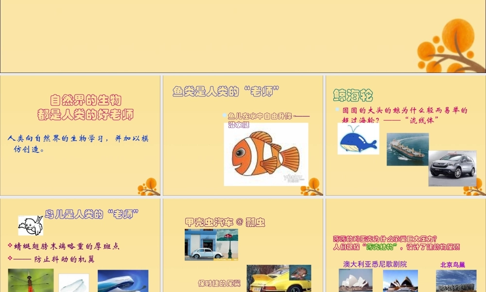 四年级语文上册 第六单元 24 人类的“老师”教学课件 语文S版-语文S版小学四年级上册语文课件