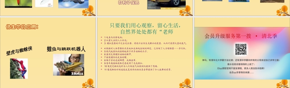 四年级语文上册 第六单元 24 人类的“老师”教学课件 语文S版-语文S版小学四年级上册语文课件