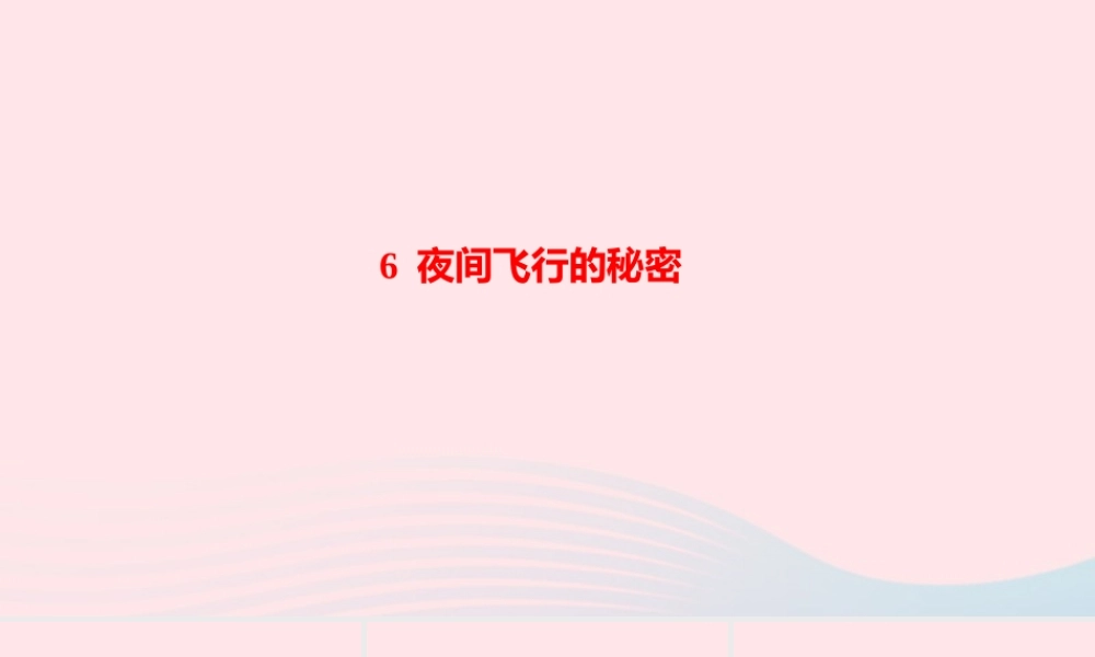 四年级语文上册 第二单元 6 夜间飞行的秘密作业课件 新人教版-新人教版小学四年级上册语文课件