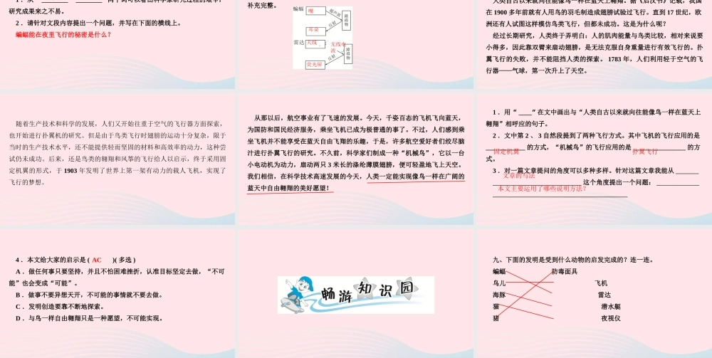 四年级语文上册 第二单元 6 夜间飞行的秘密作业课件 新人教版-新人教版小学四年级上册语文课件