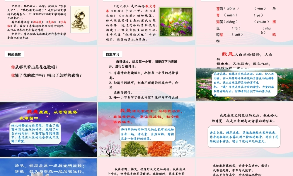 文上册 第一单元 4花之歌课件