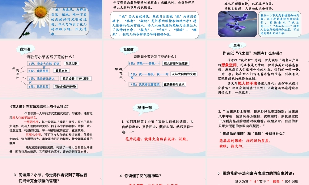 文上册 第一单元 4花之歌课件