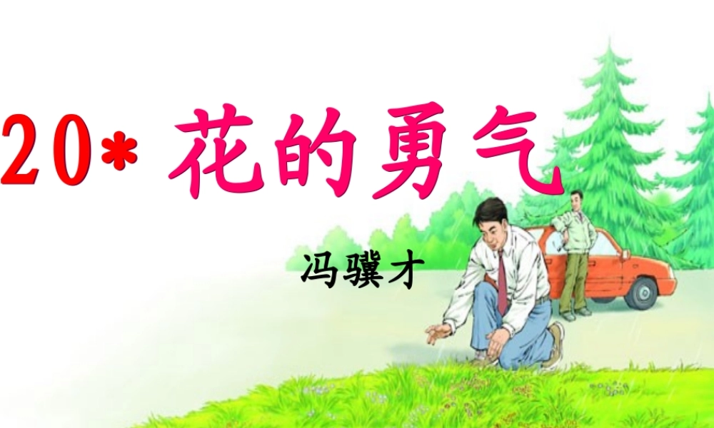 四年级语文下册 第五单元 20《花的勇气》课件1 新人教版-新人教版小学四年级下册语文课件