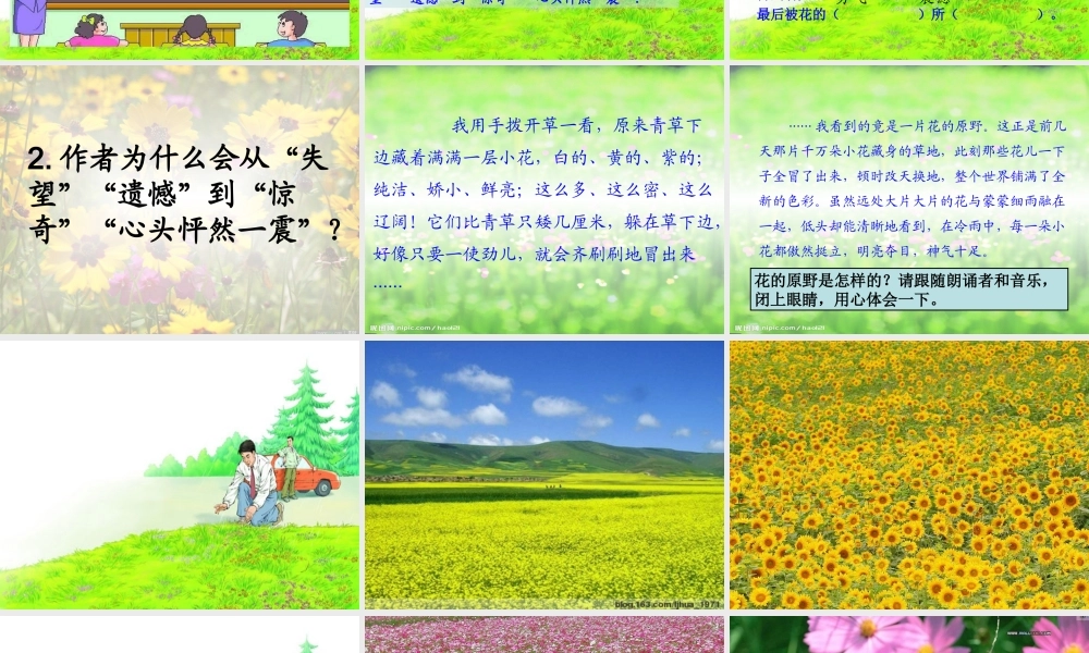 四年级语文下册 第五单元 20《花的勇气》课件1 新人教版-新人教版小学四年级下册语文课件