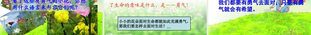 四年级语文下册 第五单元 20《花的勇气》课件1 新人教版-新人教版小学四年级下册语文课件