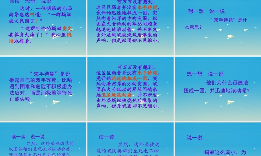 四年级语文下册 17《生命的壮歌》蚁国英雄课件 苏教版-苏教版小学四年级下册语文课件