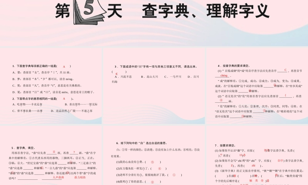 小升初语文 第5天 查字典 理解字义课件-人教版小学六年级全册语文课件