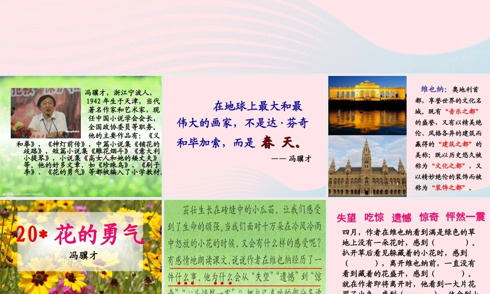 四年级语文下册 第五单元 20《花的勇气》课件2 新人教版-新人教版小学四年级下册语文课件