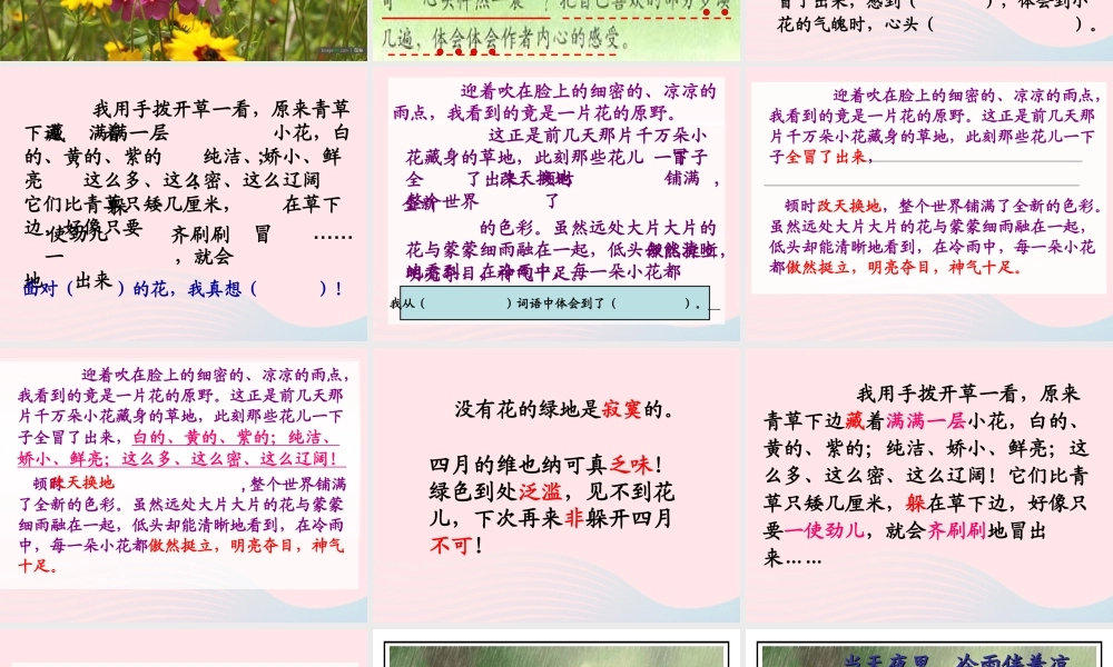 四年级语文下册 第五单元 20《花的勇气》课件2 新人教版-新人教版小学四年级下册语文课件