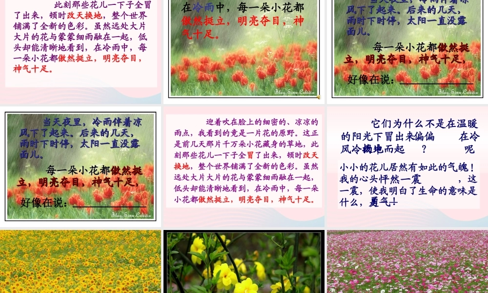 四年级语文下册 第五单元 20《花的勇气》课件2 新人教版-新人教版小学四年级下册语文课件