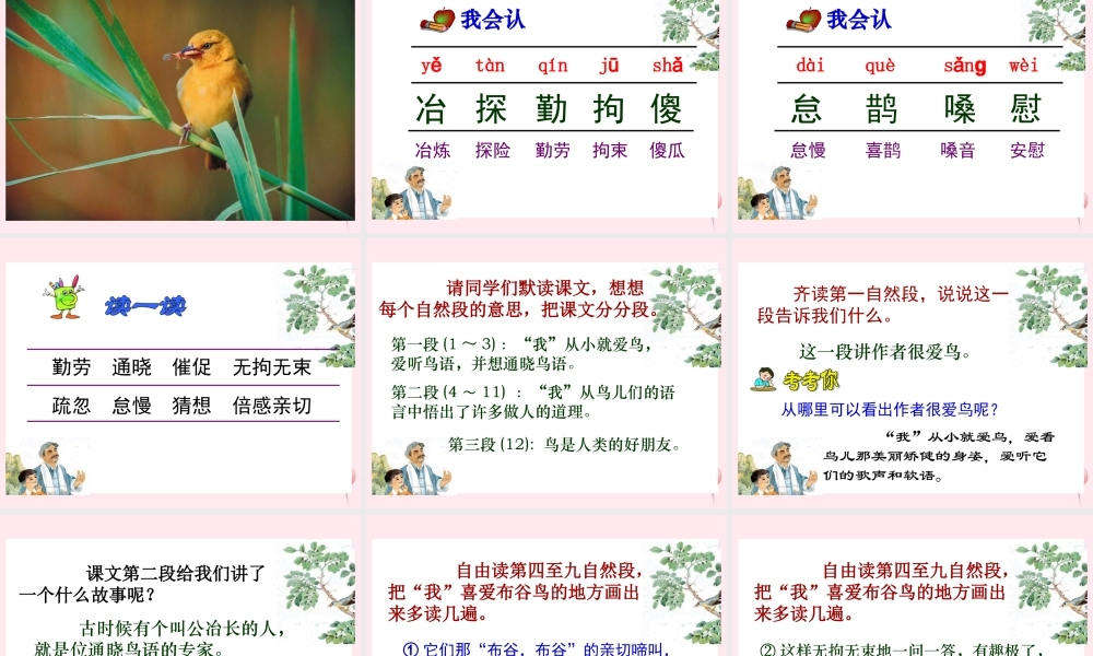 四年级语文下册 第五单元 第15课《鸟语》课件 苏教版-苏教版小学四年级下册语文课件