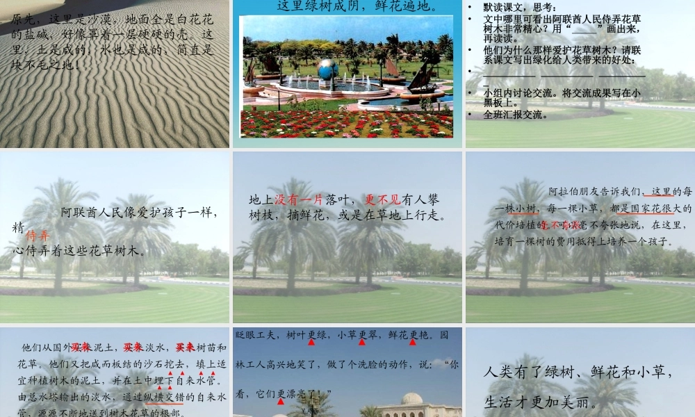 四年级语文下册 18 沙漠中的绿洲课件1 苏教版-苏教版小学四年级下册语文课件