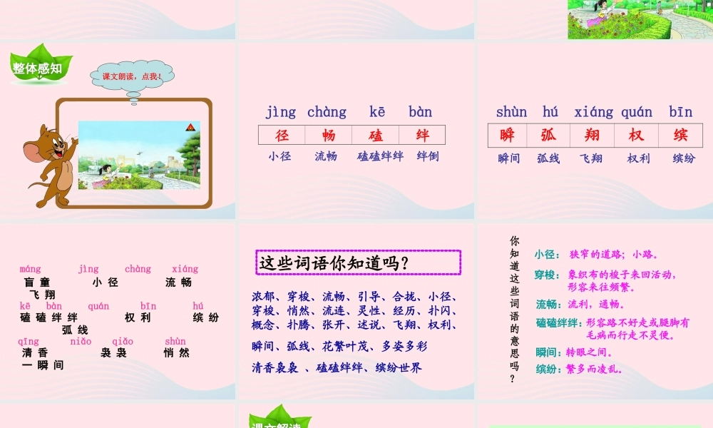 四年级语文下册 第五单元 第17课 触摸春天课件 新人教版-新人教版小学四年级下册语文课件