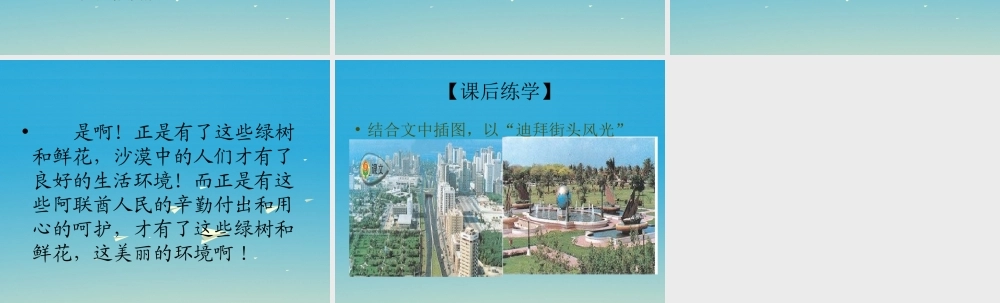 四年级语文下册 18 沙漠中的绿洲课件2 苏教版-苏教版小学四年级下册语文课件