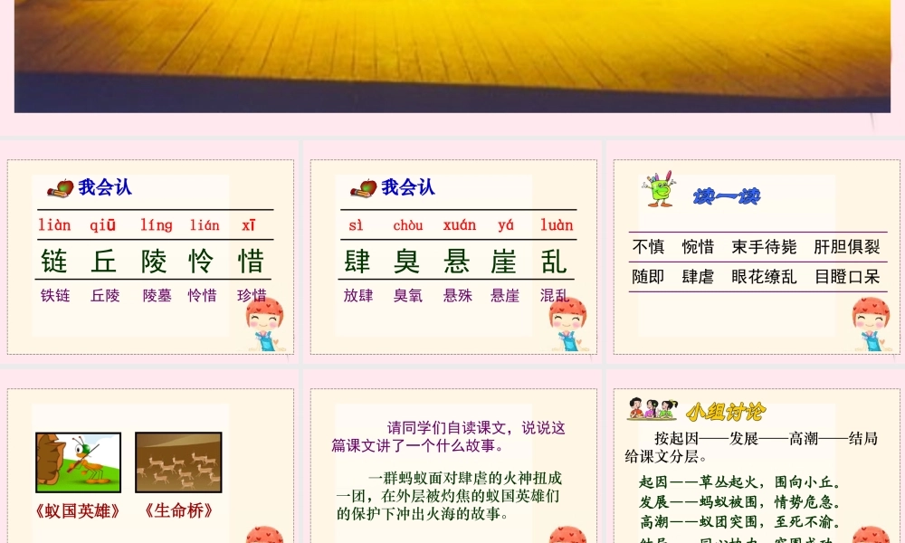 四年级语文下册 第五单元 第17课《生命的壮歌》课件 苏教版