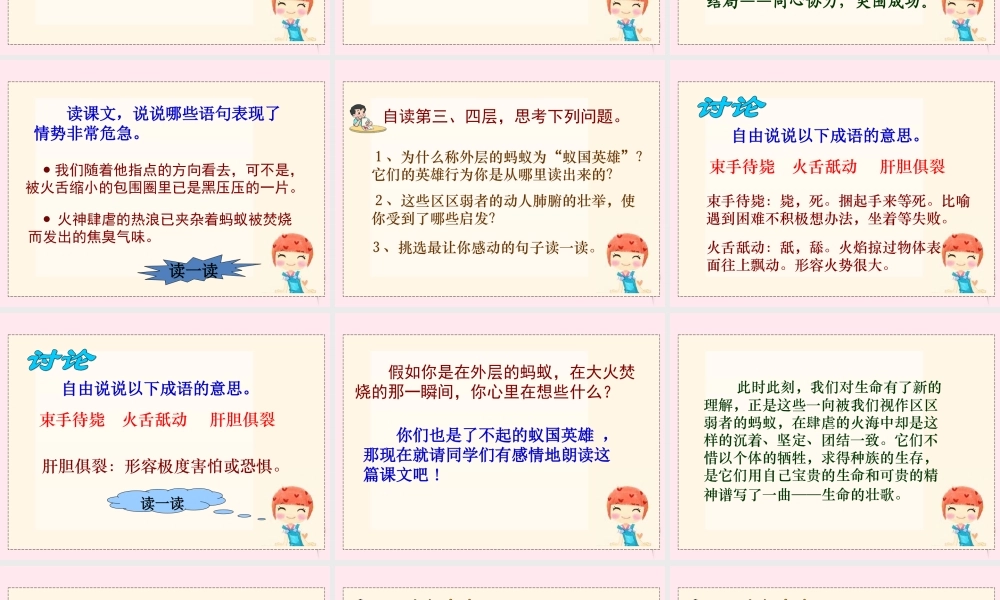 四年级语文下册 第五单元 第17课《生命的壮歌》课件 苏教版