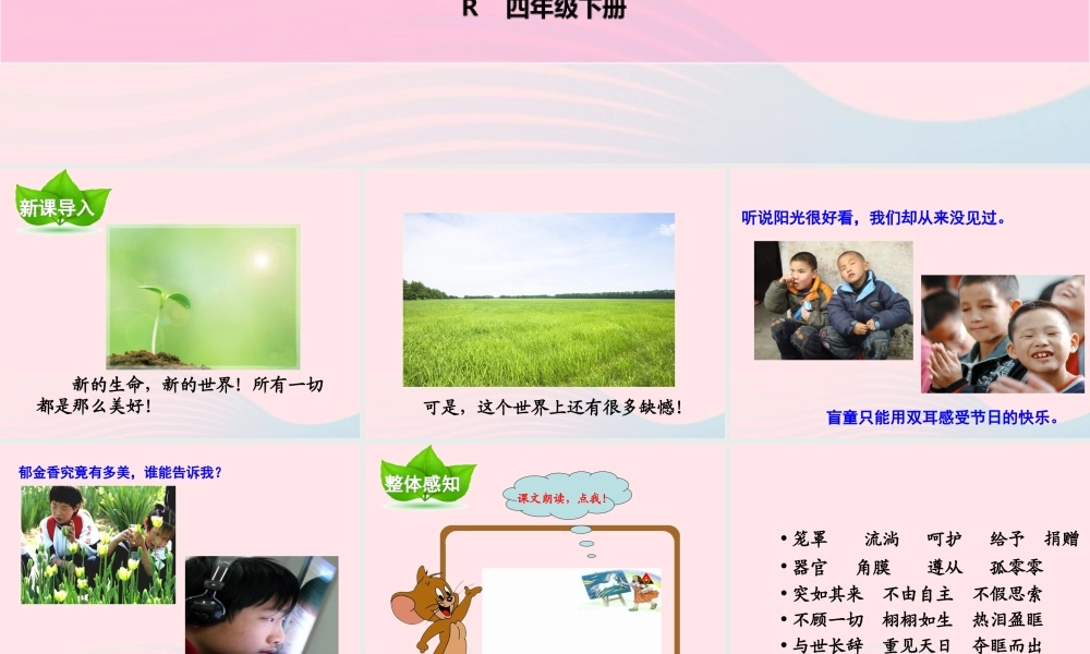 四年级语文下册 第五单元 第18课 永生的眼睛课件 新人教版-新人教版小学四年级下册语文课件