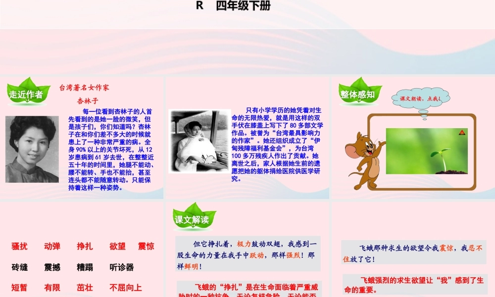 四年级语文下册 第五单元 第19课 生命 生命课件 新人教版-新人教版小学四年级下册语文课件