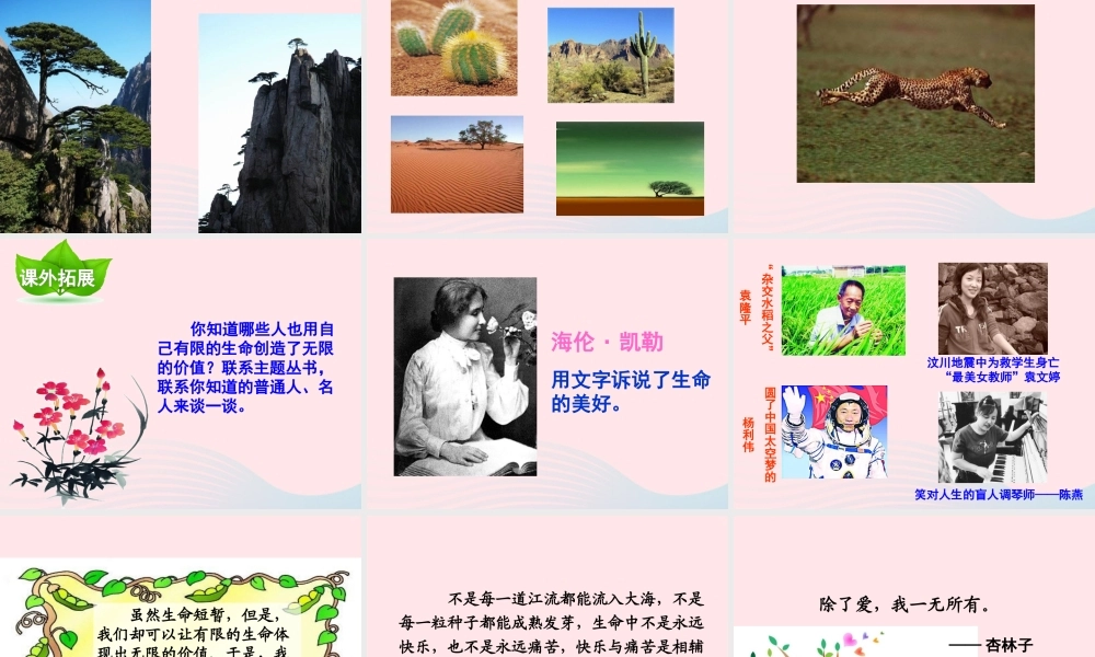 四年级语文下册 第五单元 第19课 生命 生命课件 新人教版-新人教版小学四年级下册语文课件