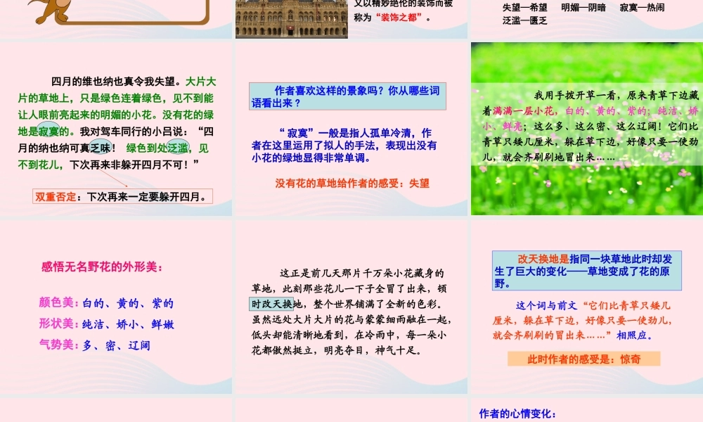 四年级语文下册 第五单元 第20课 花的勇气课件 新人教版-新人教版小学四年级下册语文课件