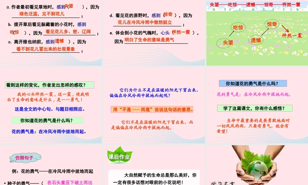 四年级语文下册 第五单元 第20课 花的勇气课件 新人教版-新人教版小学四年级下册语文课件