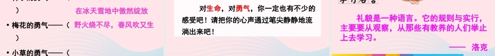 四年级语文下册 第五单元 第20课 花的勇气课件 新人教版-新人教版小学四年级下册语文课件
