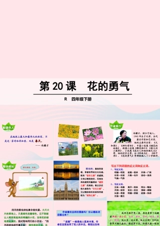 四年级语文下册 第五单元 第20课 花的勇气课件 新人教版-新人教版小学四年级下册语文课件