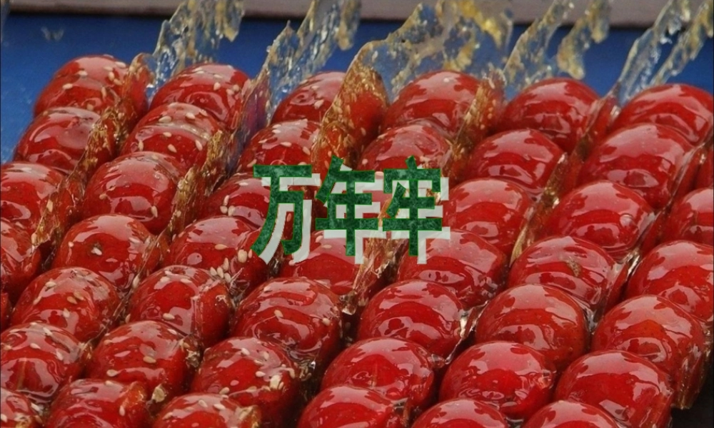 四年级语文上册 第二单元 6《万年牢》教学课件 鲁教版-鲁教版小学四年级上册语文课件