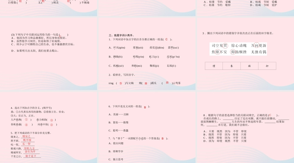 小升初语文 第38天 字词（二）课件-人教版小学六年级全册语文课件