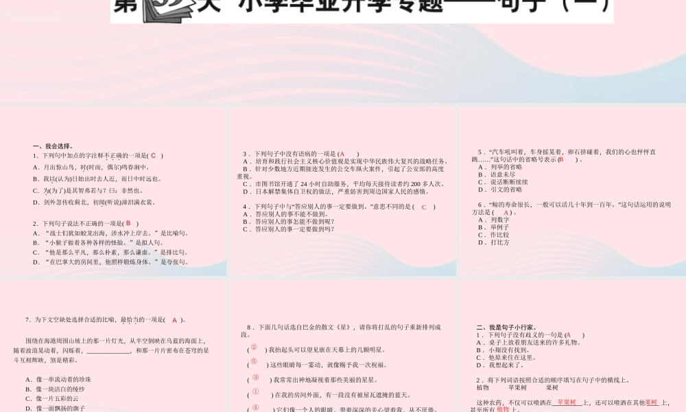 小升初语文 第39天 句子（一）课件-人教版小学六年级全册语文课件