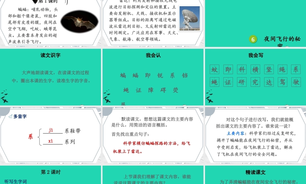 四年级语文上册 第二单元 6《夜间飞行的秘密》课件