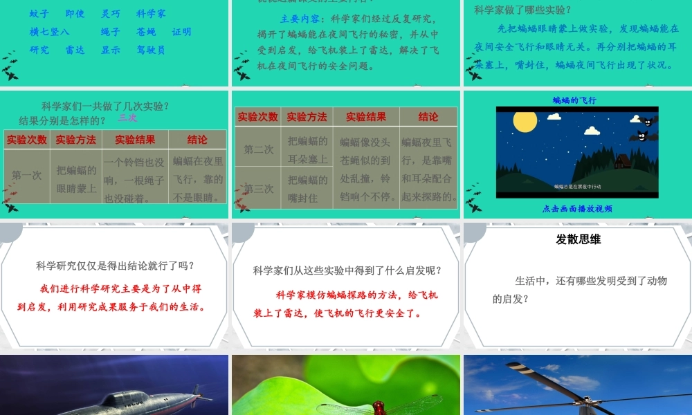 四年级语文上册 第二单元 6《夜间飞行的秘密》课件