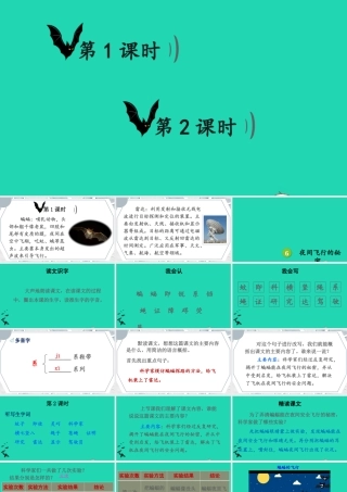 四年级语文上册 第二单元 6《夜间飞行的秘密》课件