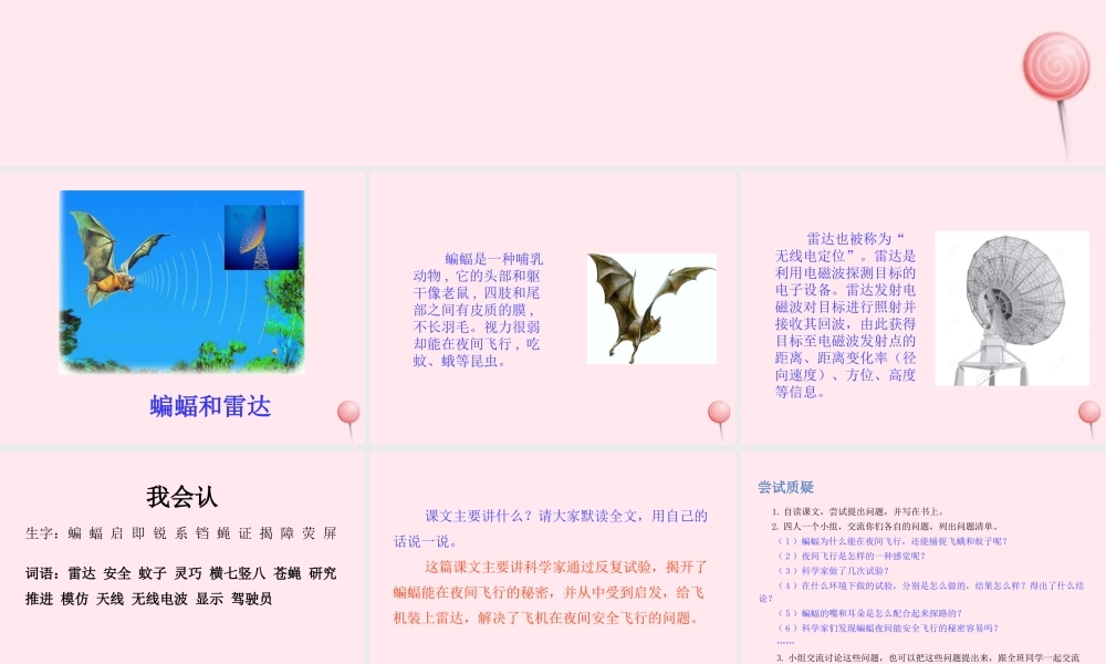 四年级语文上册 第二单元 6蝙蝠和雷达课件 新人教版-新人教版小学四年级上册语文课件