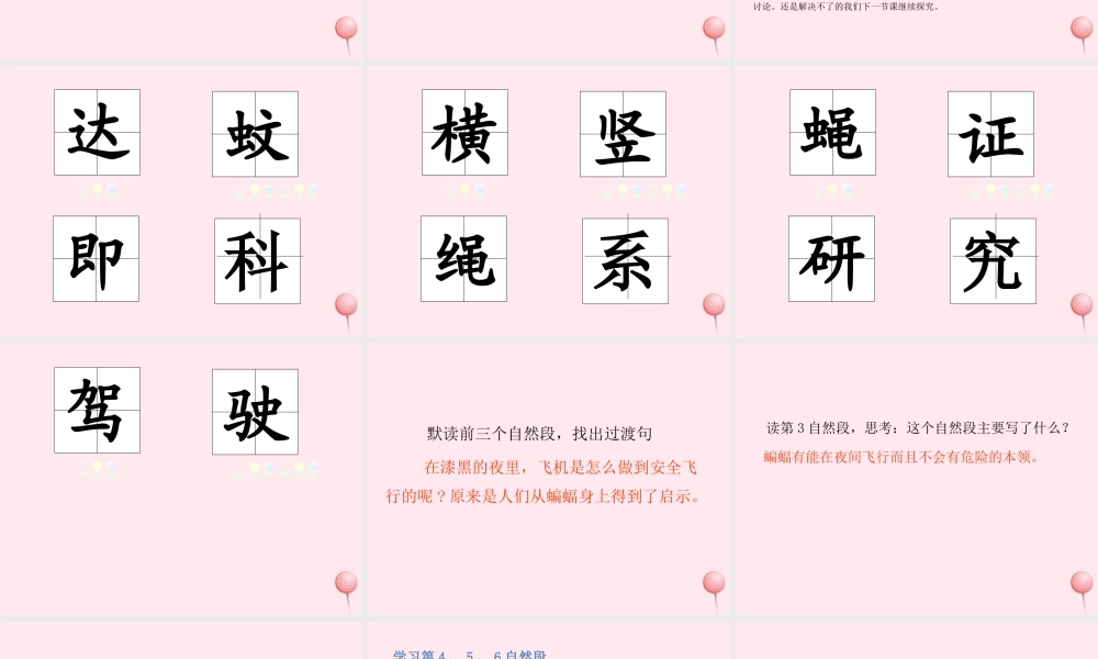 四年级语文上册 第二单元 6蝙蝠和雷达课件 新人教版-新人教版小学四年级上册语文课件