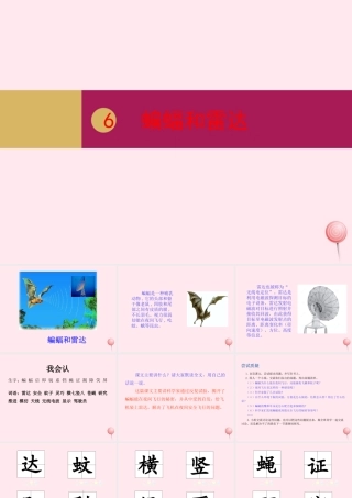 四年级语文上册 第二单元 6蝙蝠和雷达课件 新人教版-新人教版小学四年级上册语文课件