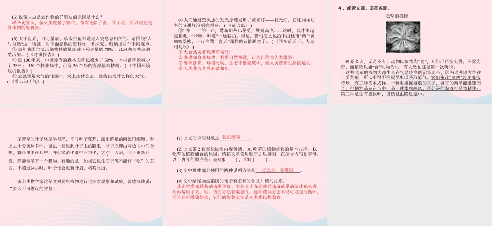 小升初语文 第44天 阅读课件-人教版小学六年级全册语文课件