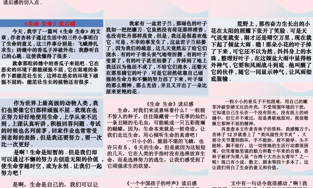 四年级语文下册 第五单元 语文园地五课件1 新人教版-新人教版小学四年级下册语文课件