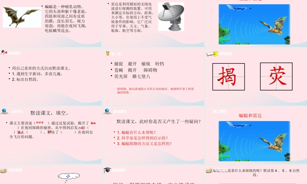 四年级语文上册 第二单元 6蝙蝠和雷达课件 新人教版-新人教级上册语文课件