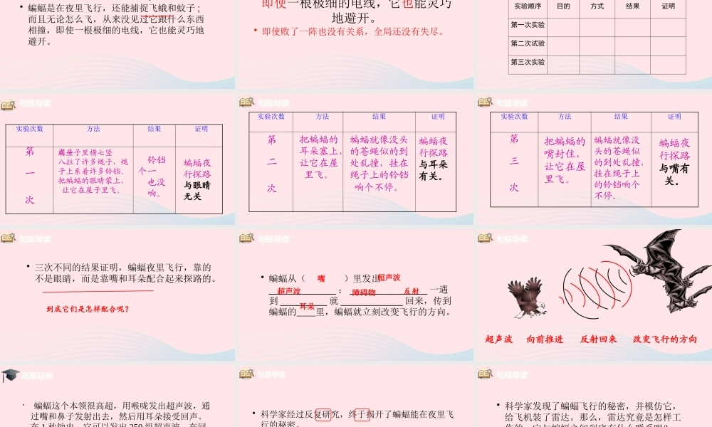 四年级语文上册 第二单元 6蝙蝠和雷达课件 新人教版-新人教级上册语文课件